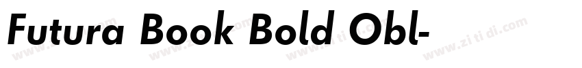 Futura Book Bold Obl字体转换